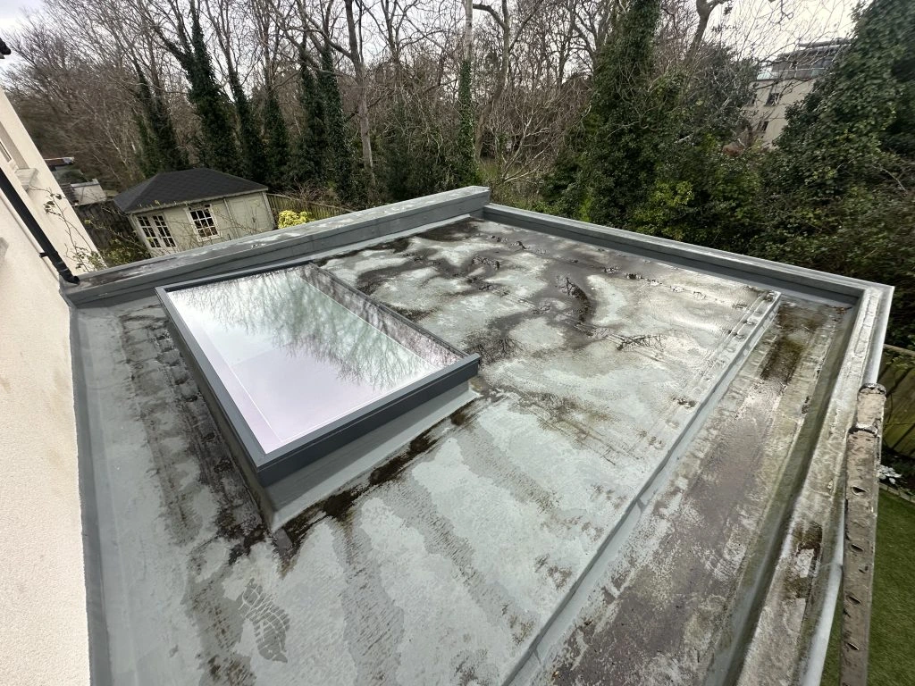 leaking flat roof rear extension before repair Kilgobbin Dublin 18 Roof Pro Ltd